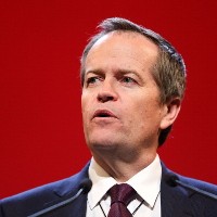 Bill Shorten: Government’s job seeker plans will hurt small business and cost economy $700 million